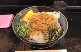 デカ盛り立ち食いそば京成上野つるや冷しジャンボ五目蕎麦メニューデカ盛り進撃の歴史20