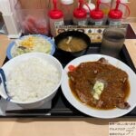 松屋「厚切りトンテキ定食・ダブル・シャリアピンソース」を世界一詳しく調査しました！