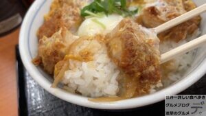 かつや特カツ丼贅沢メニューお得デカ盛り進撃のグルメ