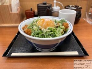 かつやねぎ玉カツ丼ピリ辛メニューデカ盛り進撃のグルメ