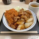 【かつや】豚ロースタレカツと牛焼肉の合い盛り丼を世界一詳しく調査【期間限定メニュー】