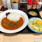 【松屋】ラタトゥイユカレー・大盛り・生野菜セットを世界一詳しく調査【期間限定メニュー】