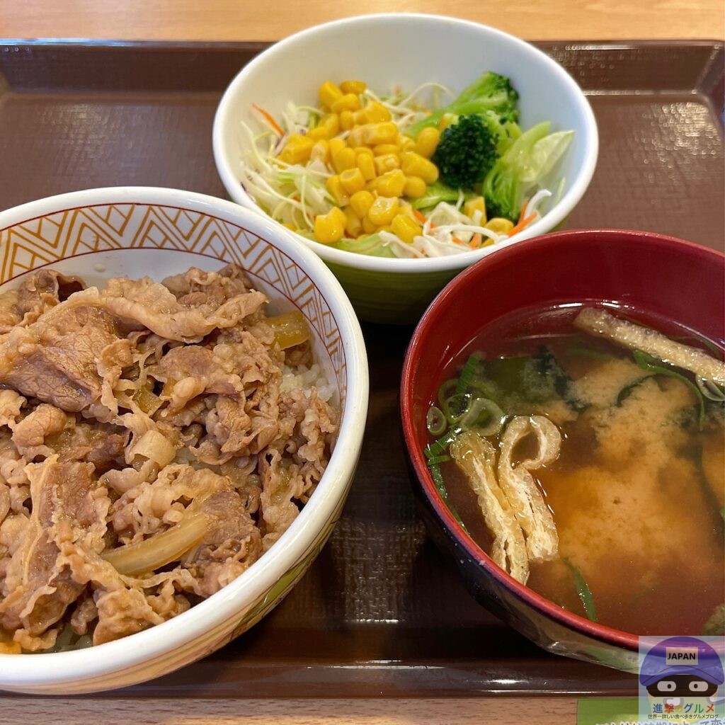【すき家】牛丼ランチセット・ミニ【ランチメニュー】進撃のグルメチェーン店、コンビニ、新メニュー、新商品、スイーツなどの最新グルメを最速でお届け！！！