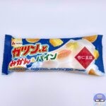 赤城乳業　ガツン、とみかん&パイン 杏仁豆腐【新作アイス】