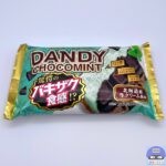 【セブンイレブン】フタバ食品 ダンディー チョコミント【新作アイス】