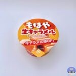 【ファミマ】赤城乳業 もはや生キャラメルを凍らせたようなアイス【新作コンビニアイス】