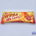 赤城乳業 ガツン、と濃いみかん（みかん果汁・果肉70％）【新作アイス】