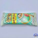 ガリガリ君リッチ 革新のチョコミント【新作アイス】