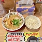 【天下一品】ライス定食（こってりラーメン・メンマトッピング・ライス大盛り）【セットメニュー】