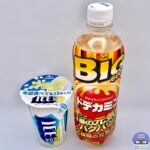 【ファミマ】アイスボックス、ドデカミンBIG（100円引き）【お得キャンペーン】