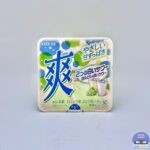 ロッテ 爽（そう） 2つの白いサワー＜白ぶどう＆白いサワー＞【新作アイス】