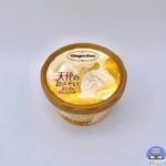 【ハーゲンダッツ】天使のおさそい ホワイトチョコレート【新作アイス】