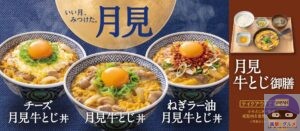 引用元：吉野家公式サイト