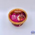 【ハーゲンダッツ】悪魔のささやき チョコレート【新作アイス】