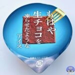 【ファミマ】赤城乳業 もはや生チョコを凍らせたようなアイス【コンビニアイス新商品】