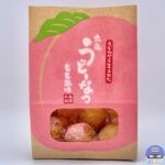 【丸亀製麺】丸亀うどーなつ もも風味【新メニュー】